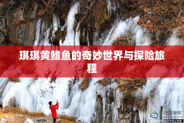 琪琪黄鳍鱼的奇妙世界与探险旅程