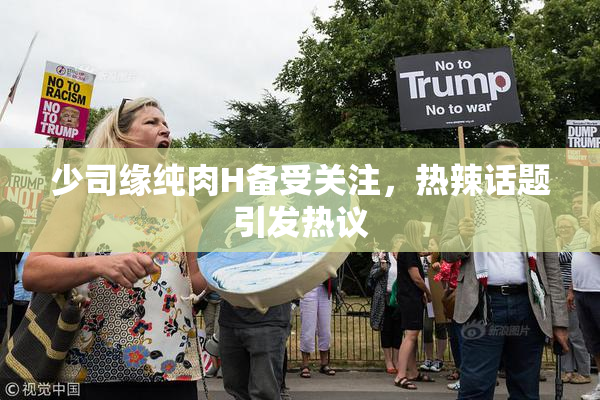 少司缘纯肉H备受关注，热辣话题引发热议