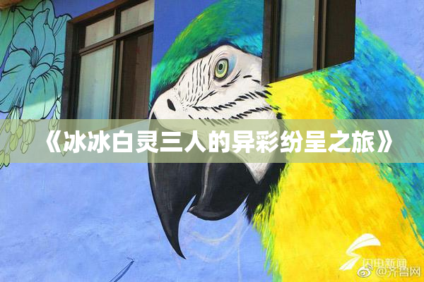 《冰冰白灵三人的异彩纷呈之旅》