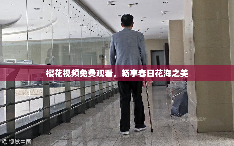 樱花视频免费观看，畅享春日花海之美