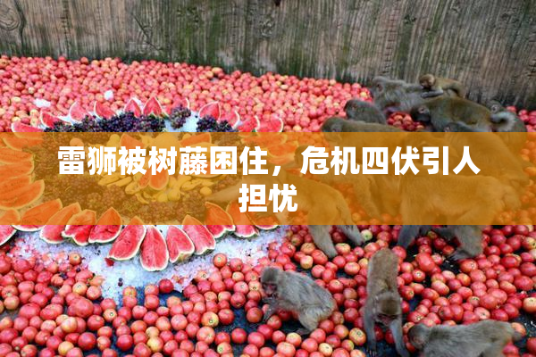 雷狮被树藤困住，危机四伏引人担忧