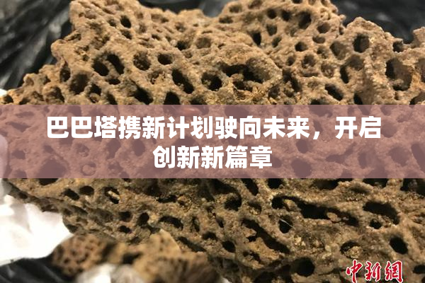 巴巴塔携新计划驶向未来，开启创新新篇章