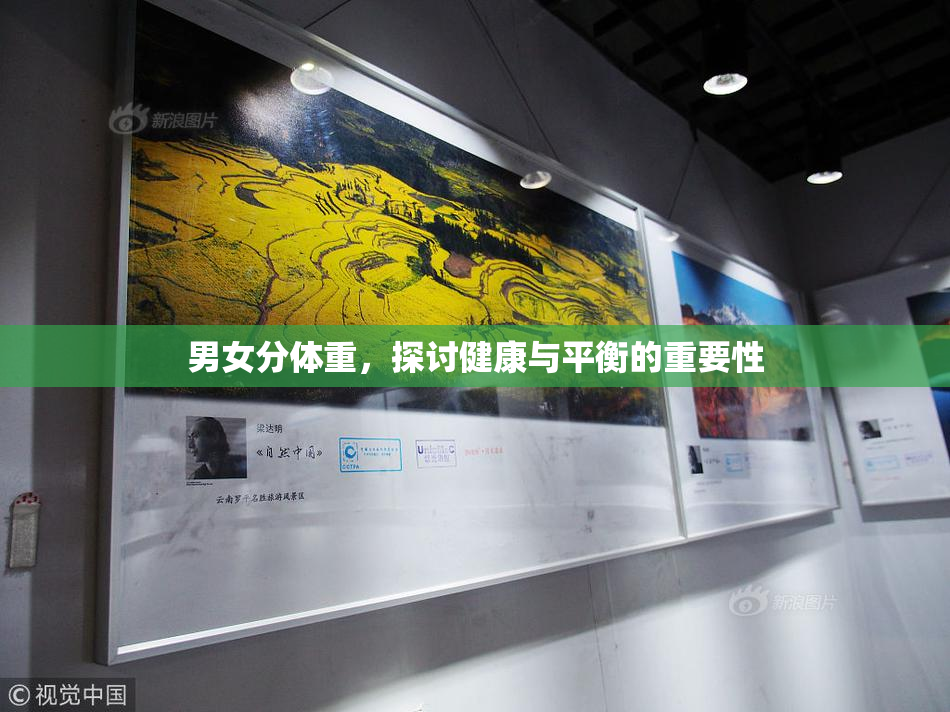 男女分体重，探讨健康与平衡的重要性
