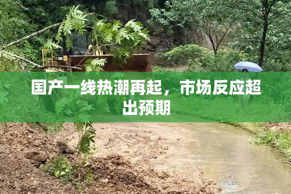 国产一线热潮再起，市场反应超出预期