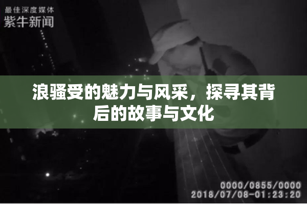 浪骚受的魅力与风采，探寻其背后的故事与文化