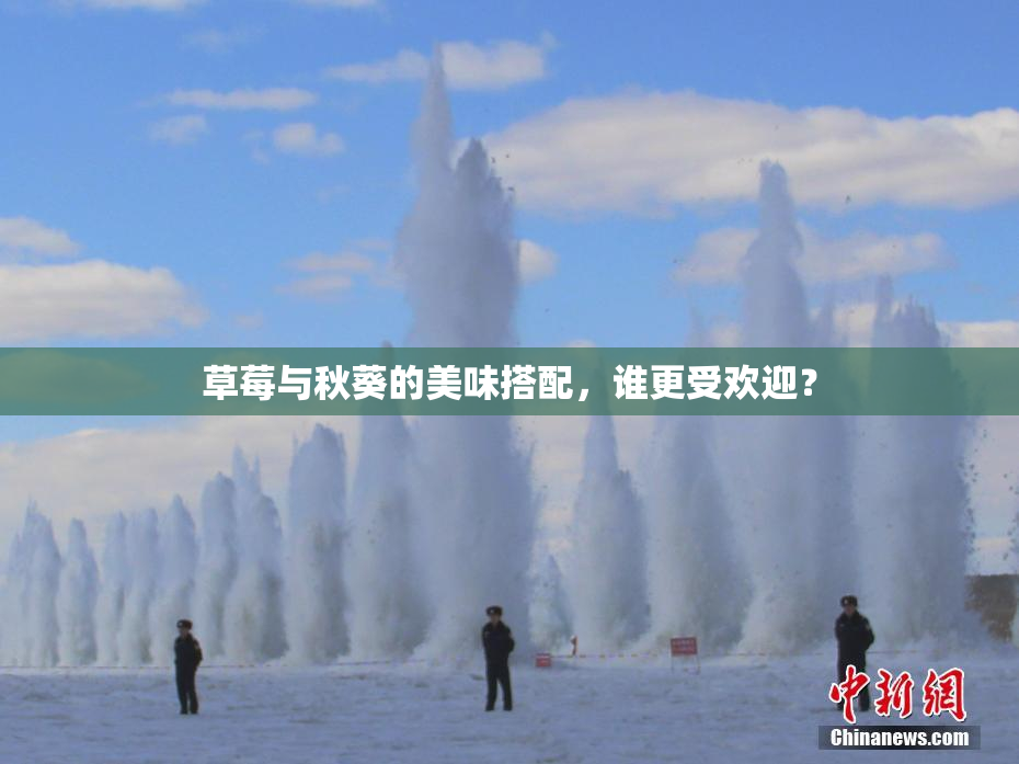 草莓与秋葵的美味搭配，谁更受欢迎？