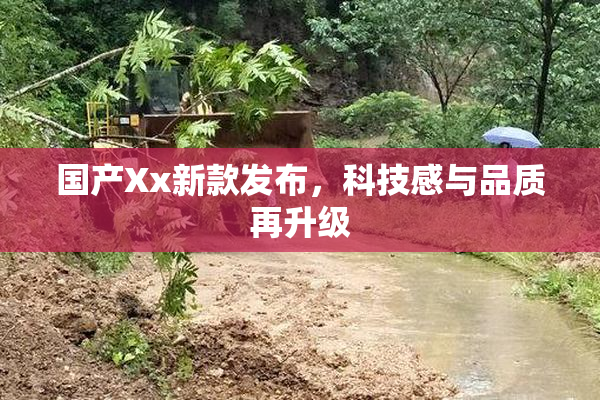 国产Xx新款发布，科技感与品质再升级
