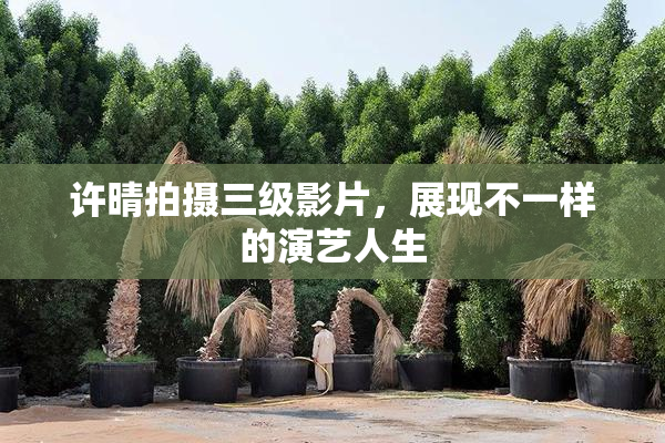 许晴拍摄三级影片，展现不一样的演艺人生