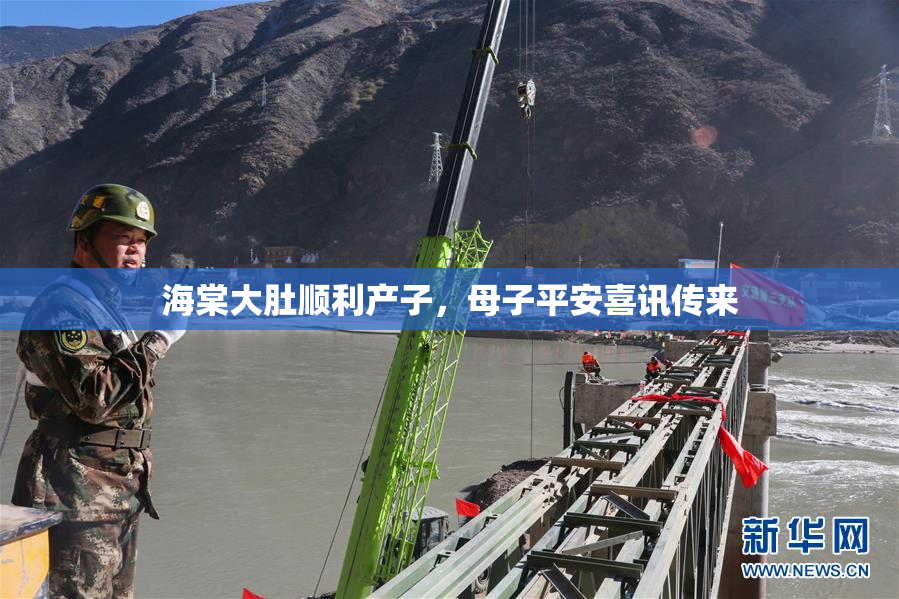海棠大肚顺利产子，母子平安喜讯传来
