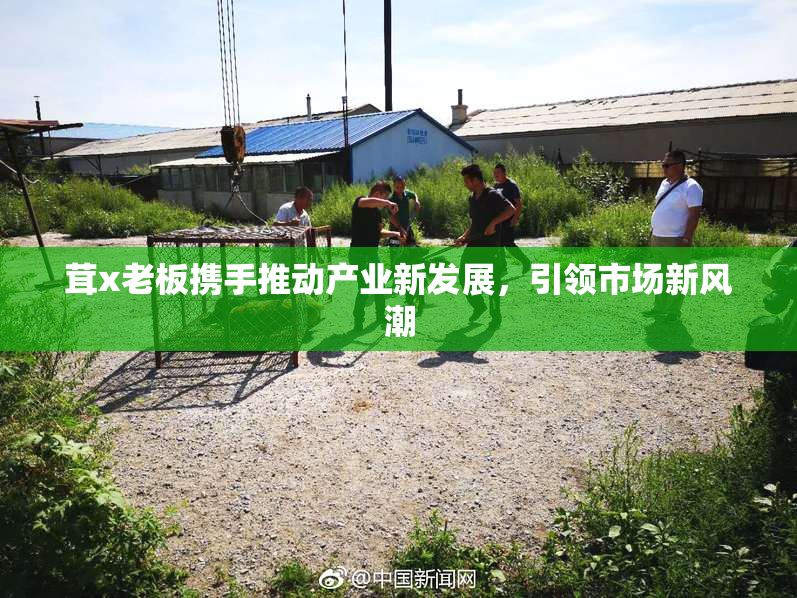 茸x老板携手推动产业新发展，引领市场新风潮