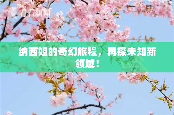 纳西妲的奇幻旅程，再探未知新领域！