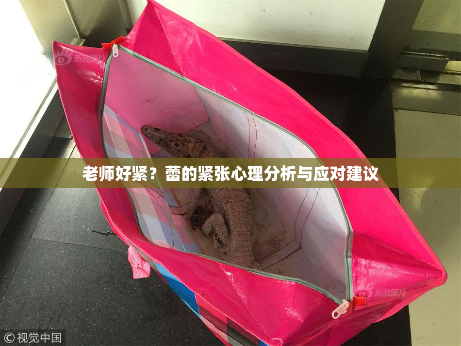 老师好紧？蕾的紧张心理分析与应对建议