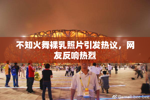 不知火舞裸乳照片引发热议，网友反响热烈