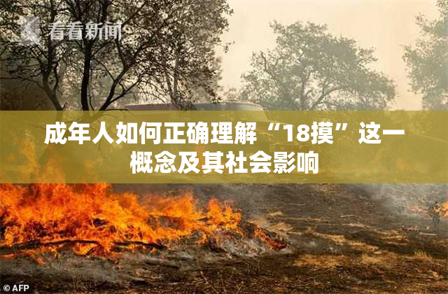 成年人如何正确理解“18摸”这一概念及其社会影响