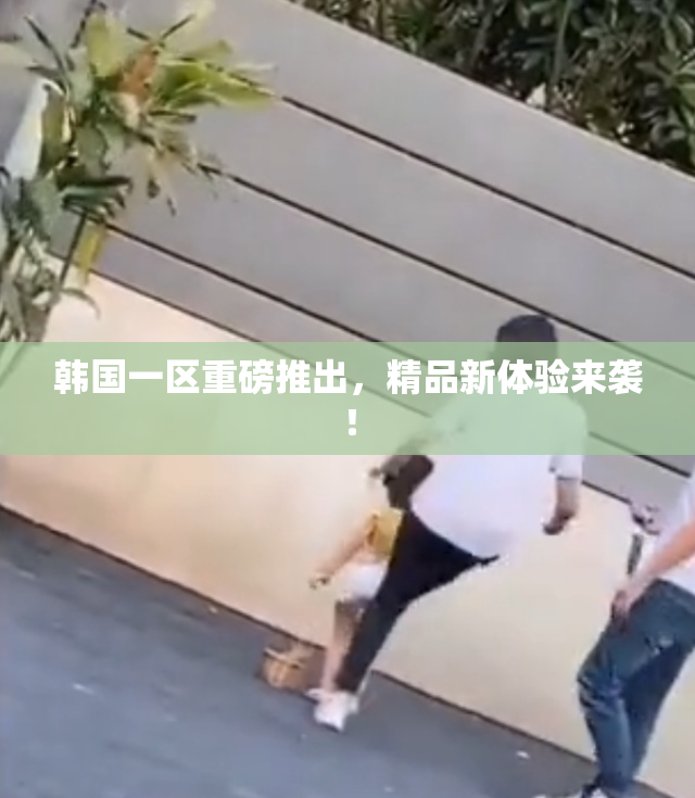 韩国一区重磅推出，精品新体验来袭！