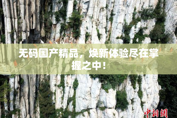无码国产精品，焕新体验尽在掌握之中！