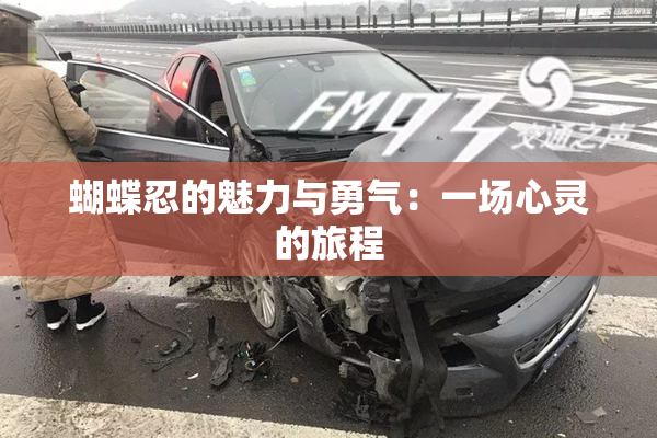 蝴蝶忍的魅力与勇气：一场心灵的旅程