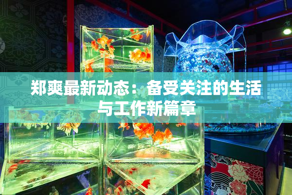 郑爽最新动态：备受关注的生活与工作新篇章