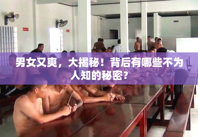 男女又爽，大揭秘！背后有哪些不为人知的秘密？