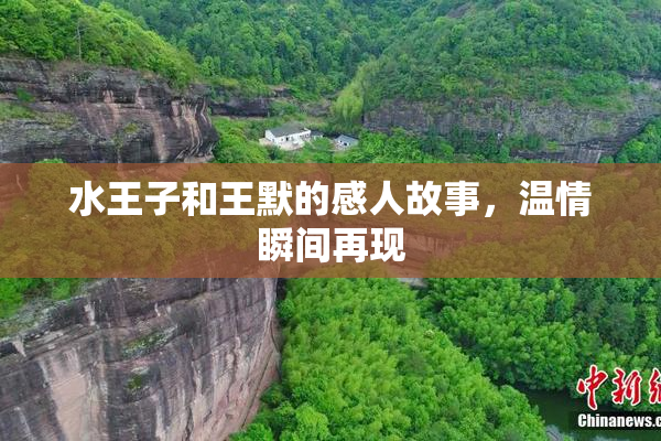 水王子和王默的感人故事，温情瞬间再现