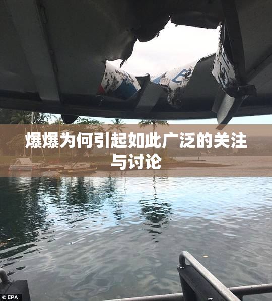 爆爆为何引起如此广泛的关注与讨论