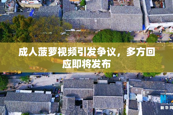 成人菠萝视频引发争议，多方回应即将发布