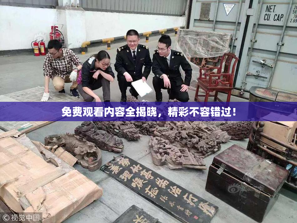免费观看内容全揭晓，精彩不容错过！