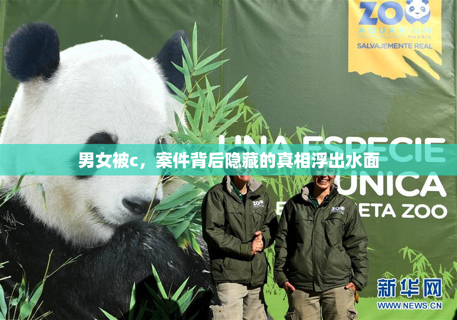 男女被c，案件背后隐藏的真相浮出水面