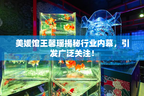 美媛馆王馨瑶揭秘行业内幕，引发广泛关注！
