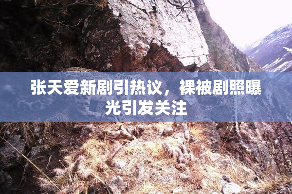 张天爱新剧引热议，裸被剧照曝光引发关注