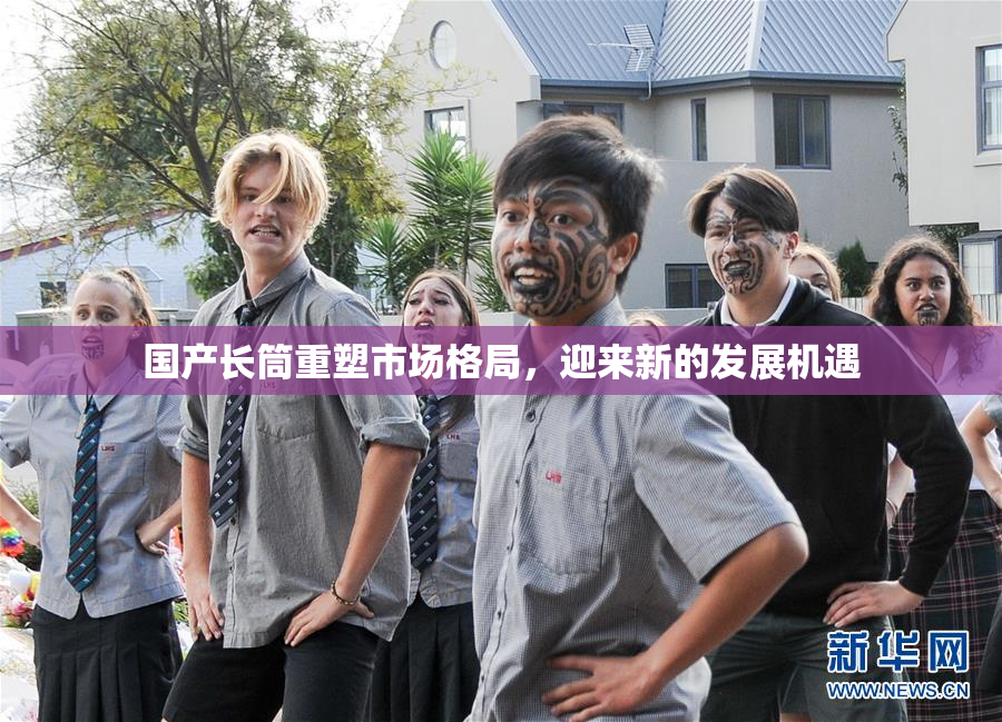 国产长筒重塑市场格局，迎来新的发展机遇