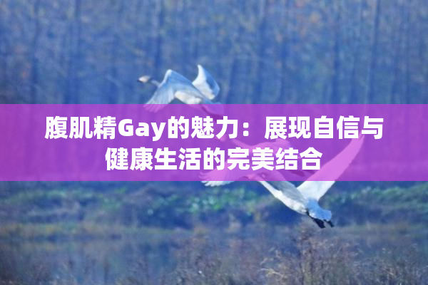 腹肌精Gay的魅力：展现自信与健康生活的完美结合