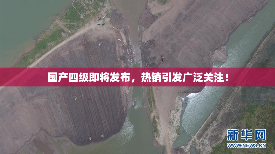 国产四级即将发布，热销引发广泛关注！