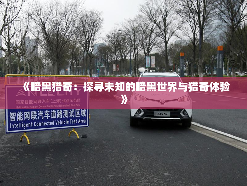 《暗黑猎奇：探寻未知的暗黑世界与猎奇体验》