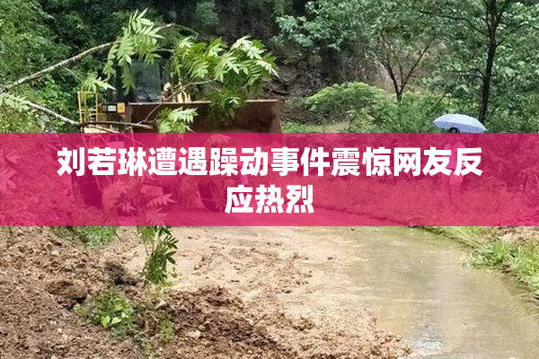 刘若琳遭遇躁动事件震惊网友反应热烈