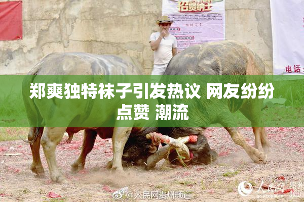 郑爽独特袜子引发热议 网友纷纷点赞 潮流