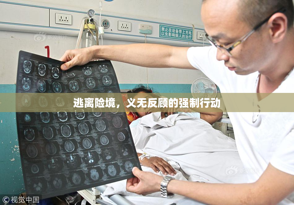 逃离险境，义无反顾的强制行动
