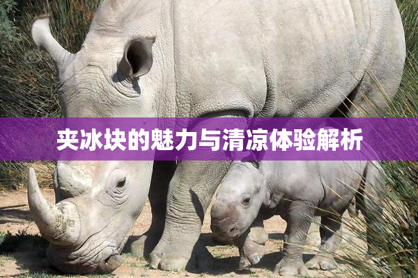 夹冰块的魅力与清凉体验解析