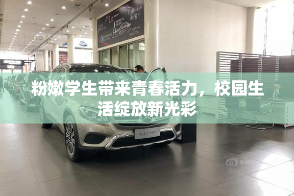 粉嫩学生带来青春活力，校园生活绽放新光彩