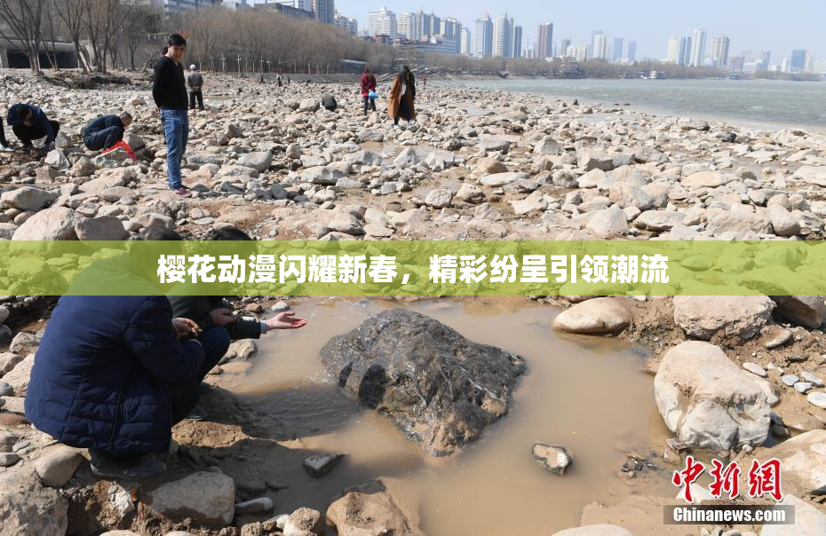 樱花动漫闪耀新春，精彩纷呈引领潮流