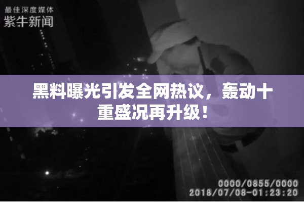 黑料曝光引发全网热议，轰动十重盛况再升级！