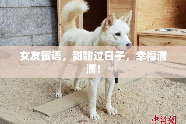 女友蜜语，甜甜过日子，幸福满满！