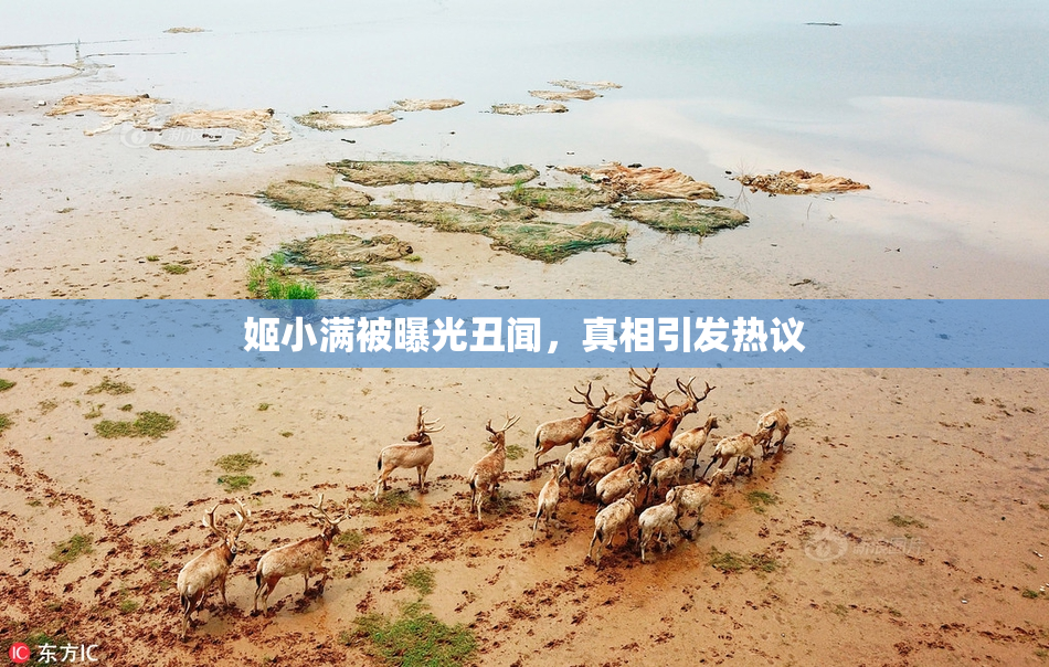 姬小满被曝光丑闻，真相引发热议