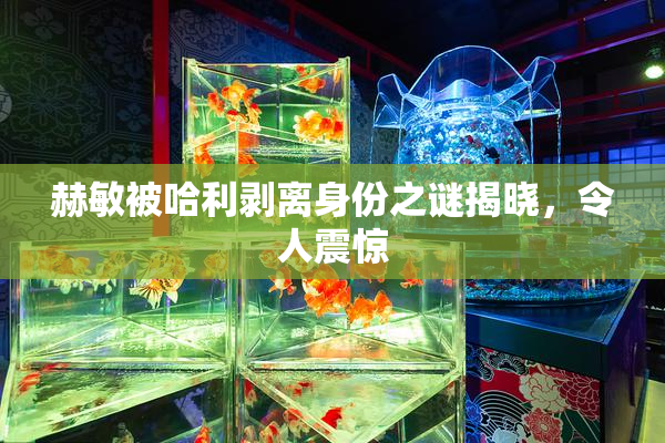 赫敏被哈利剥离身份之谜揭晓，令人震惊