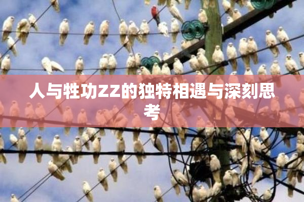 人与牲功ZZ的独特相遇与深刻思考