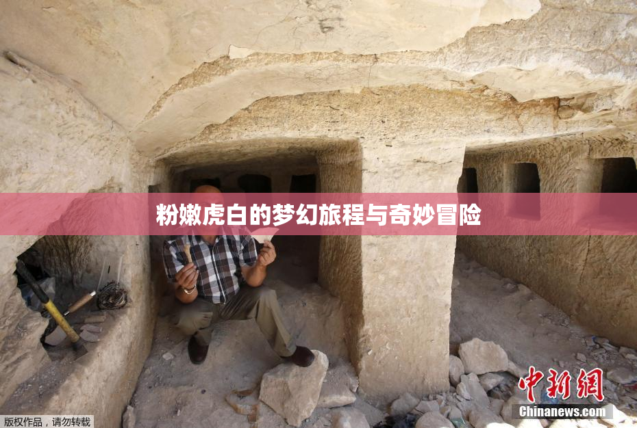 粉嫩虎白的梦幻旅程与奇妙冒险
