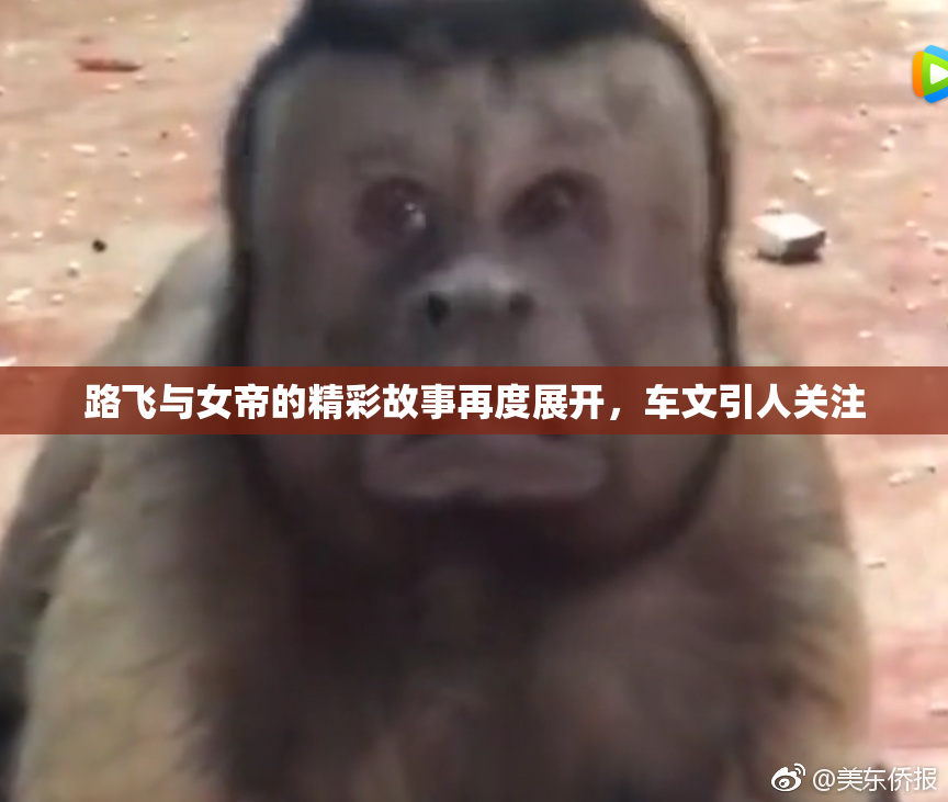 路飞与女帝的精彩故事再度展开，车文引人关注