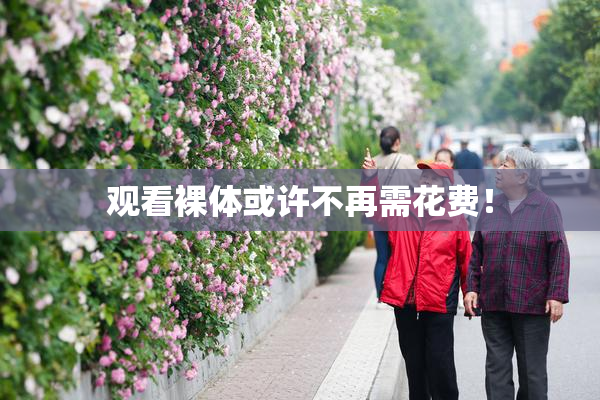 观看裸体或许不再需花费！