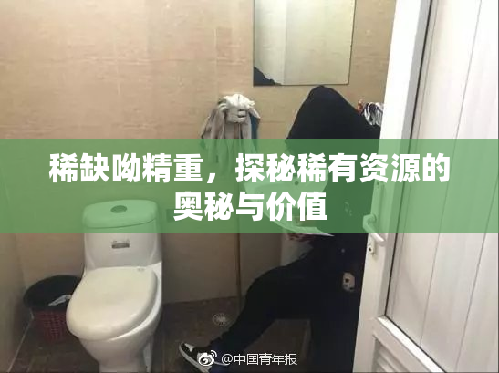 稀缺呦精重，探秘稀有资源的奥秘与价值