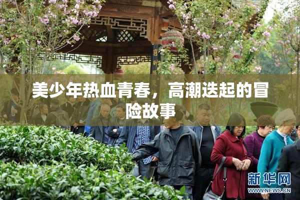 美少年热血青春，高潮迭起的冒险故事